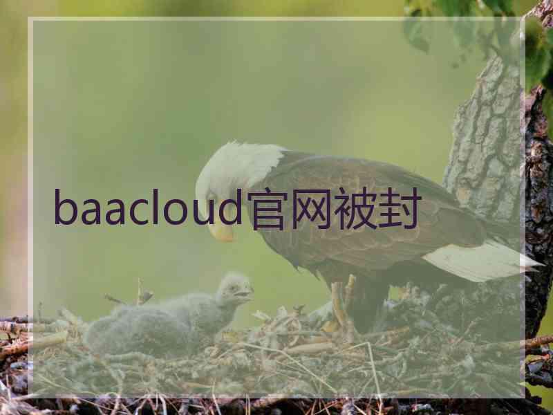 baacloud官网被封