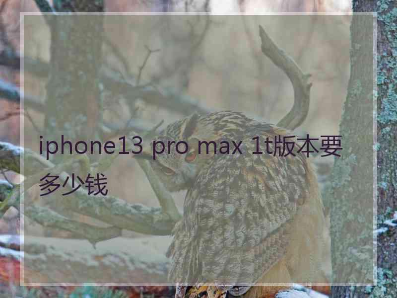 iphone13 pro max 1t版本要多少钱