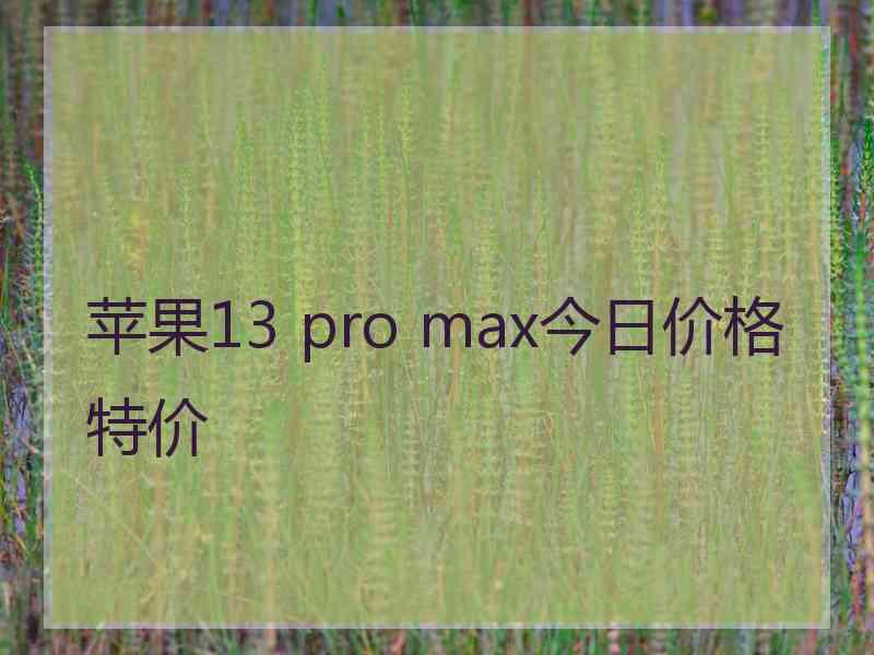 苹果13 pro max今日价格特价