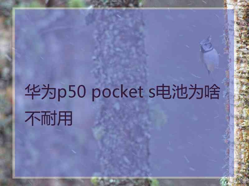 华为p50 pocket s电池为啥不耐用