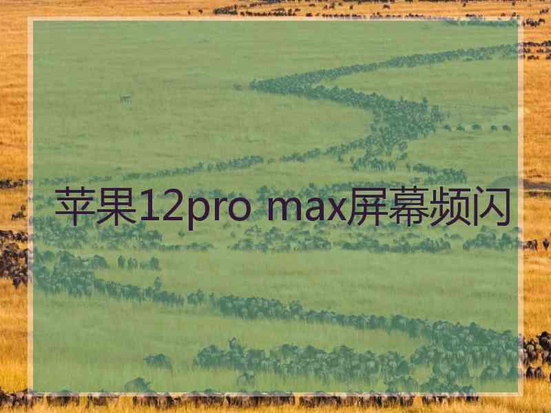 苹果12pro max屏幕频闪