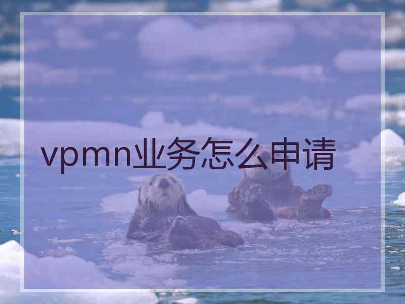 vpmn业务怎么申请