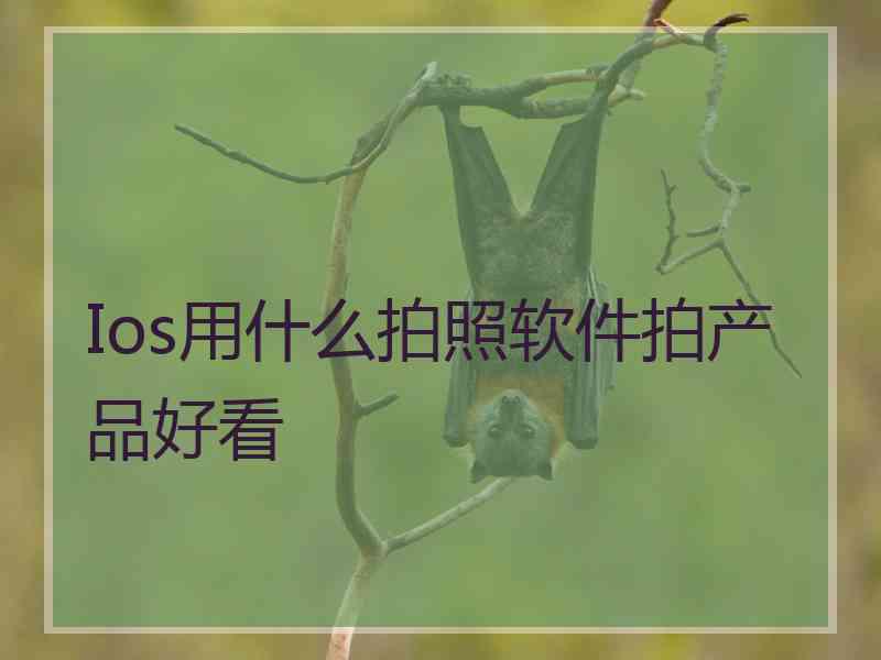 Ios用什么拍照软件拍产品好看