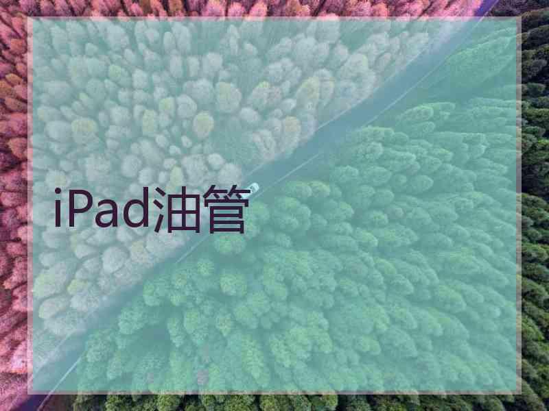 iPad油管