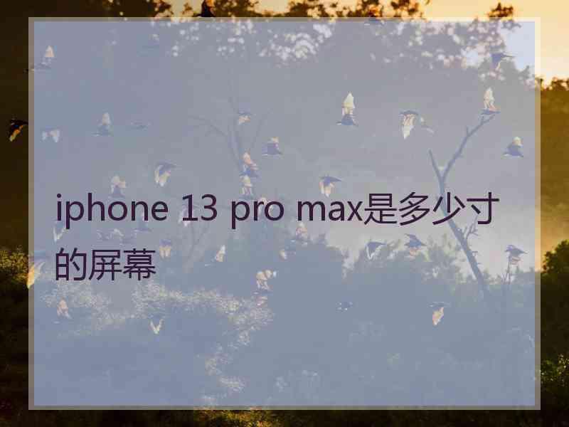 iphone 13 pro max是多少寸的屏幕