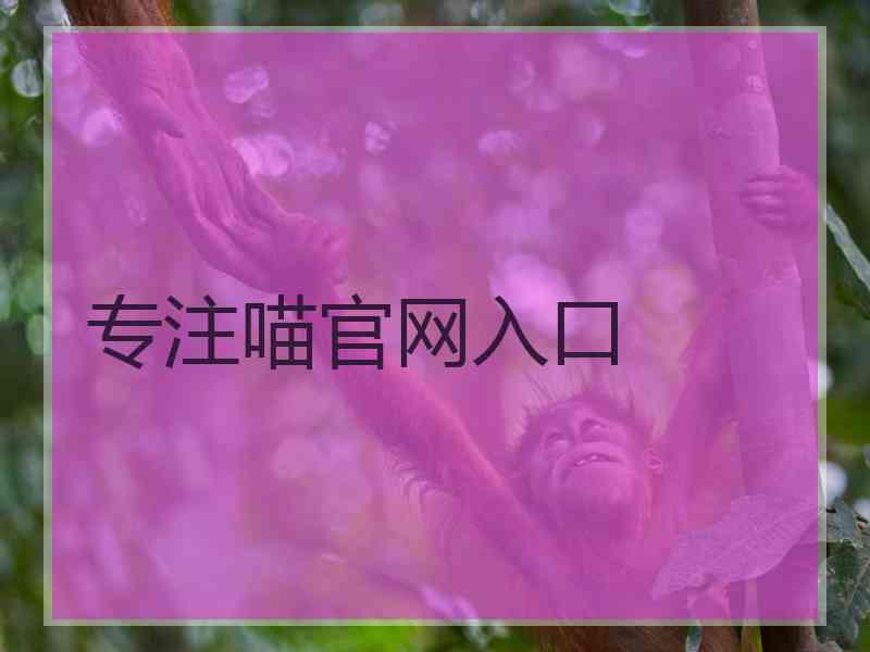 专注喵官网入口