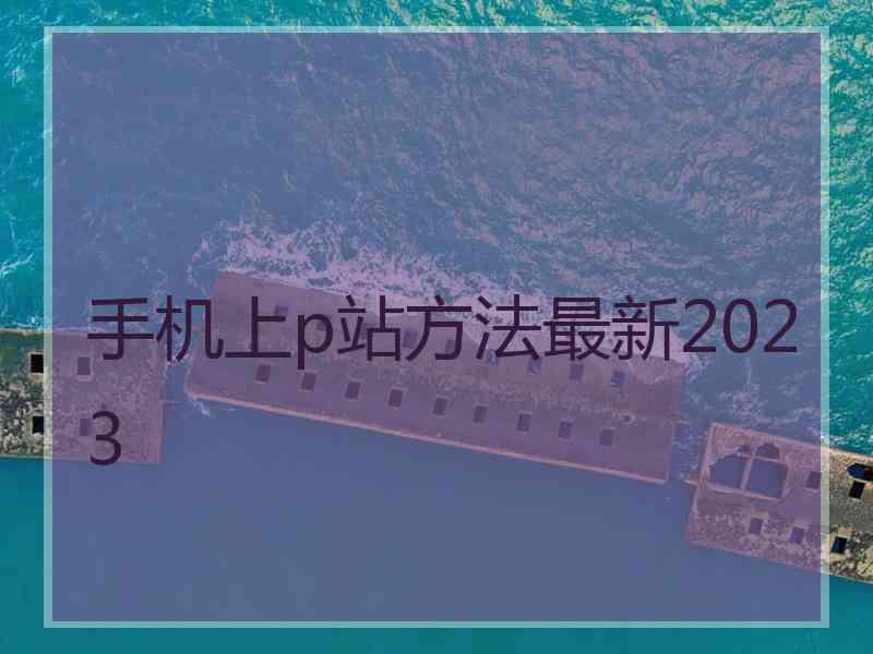 手机上p站方法最新2023