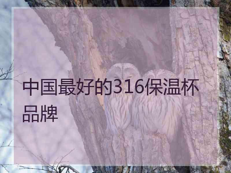 中国最好的316保温杯品牌