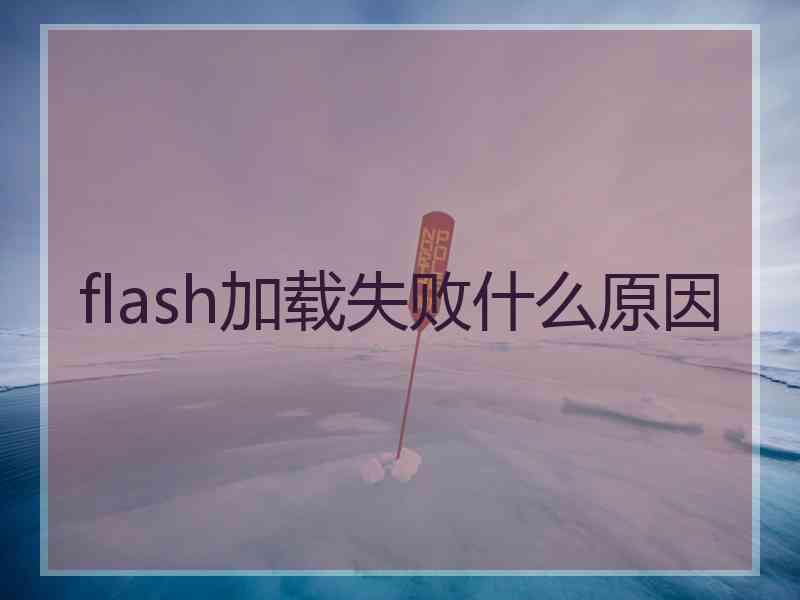 flash加载失败什么原因