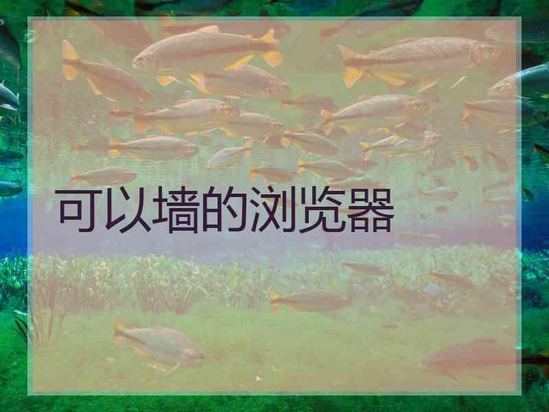 可以墙的浏览器