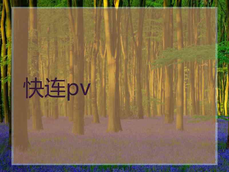 快连pv