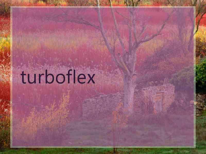 turboflex