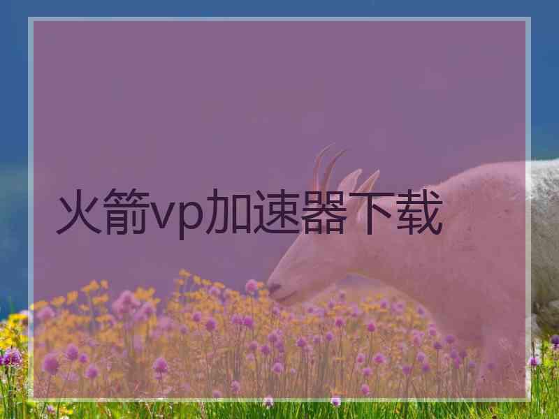 火箭vp加速器下载