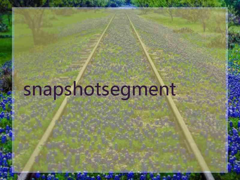 snapshotsegment