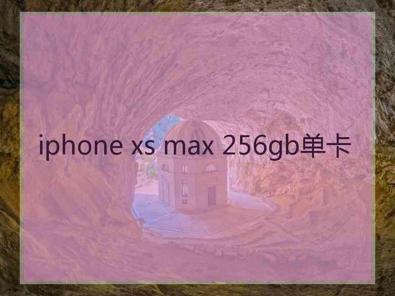 iphone xs max 256gb单卡