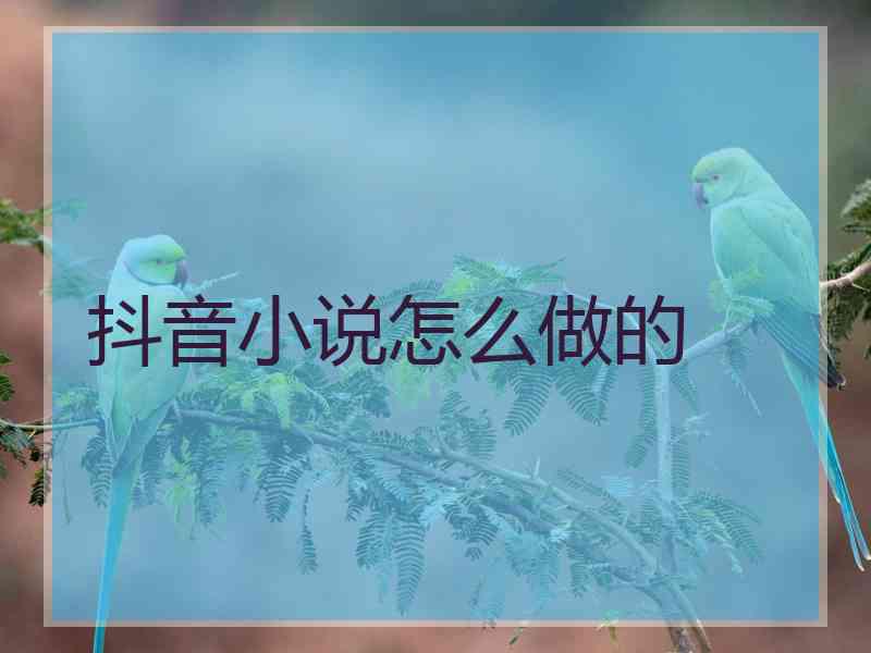 抖音小说怎么做的