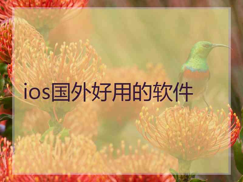 ios国外好用的软件