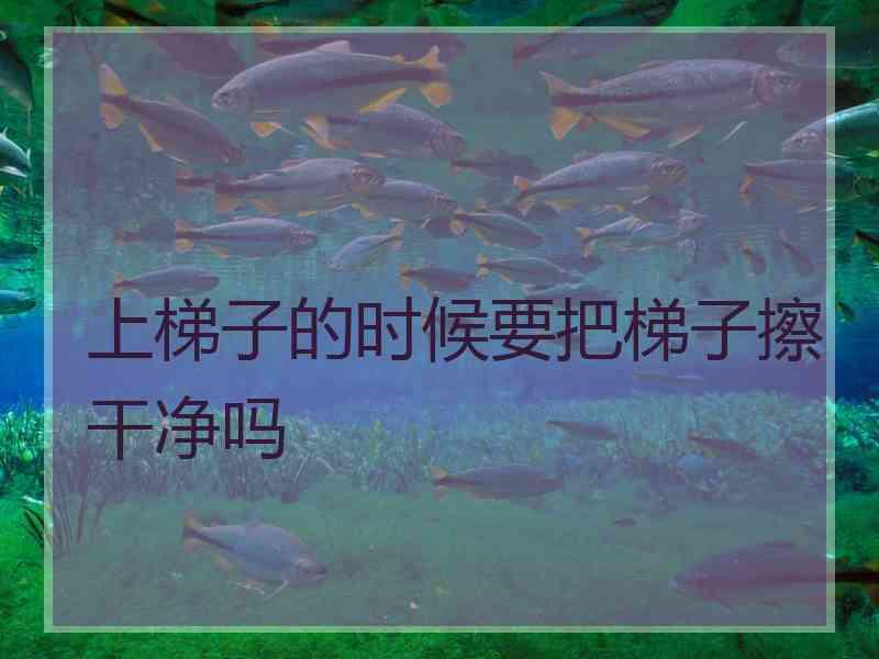 上梯子的时候要把梯子擦干净吗