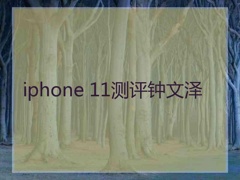 iphone 11测评钟文泽