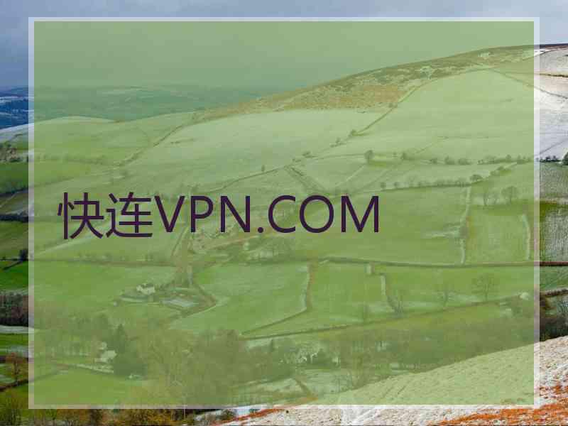 快连VPN.COM