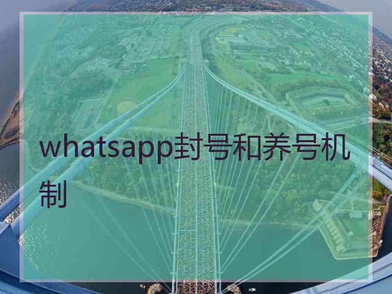 whatsapp封号和养号机制