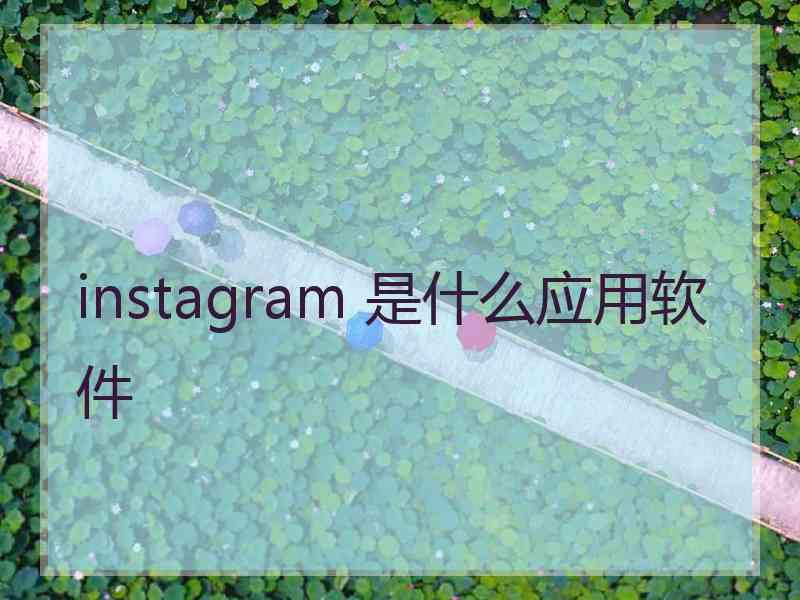 instagram 是什么应用软件