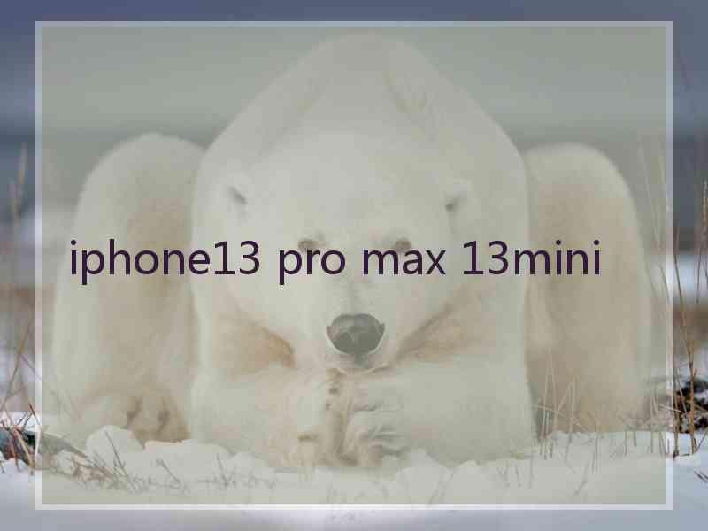 iphone13 pro max 13mini