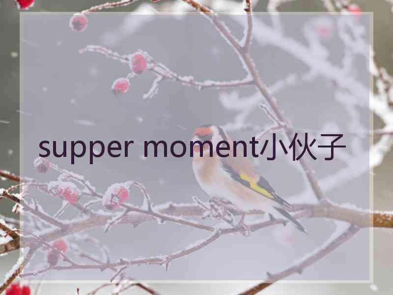 supper moment小伙子