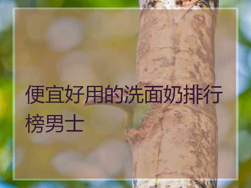 便宜好用的洗面奶排行榜男士