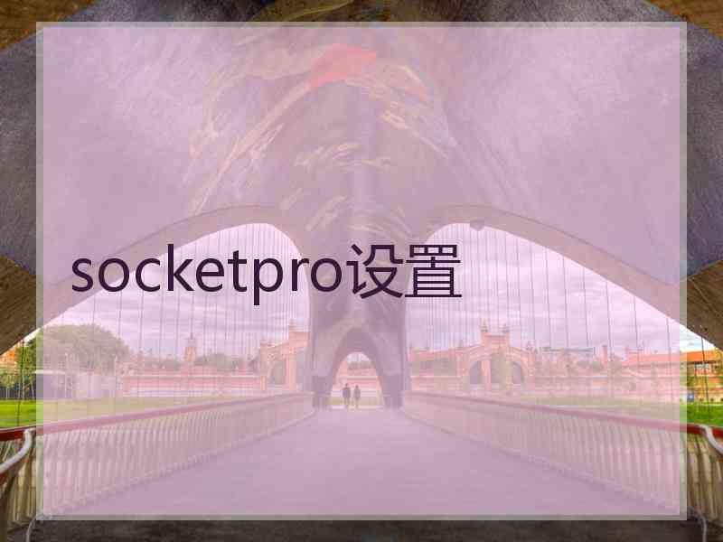 socketpro设置