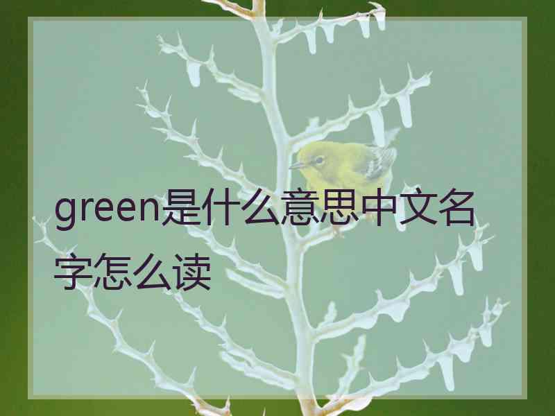 green是什么意思中文名字怎么读