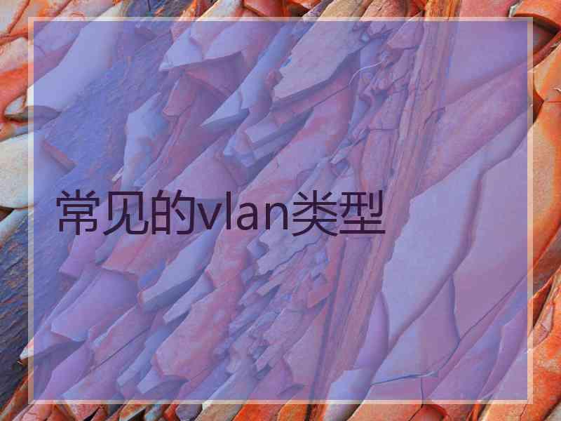 常见的vlan类型