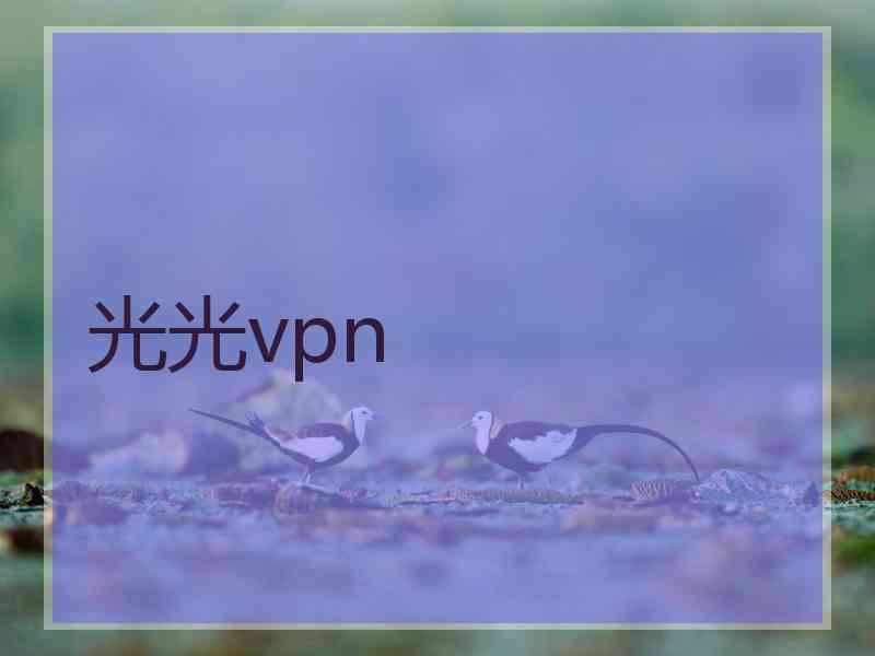 光光vpn