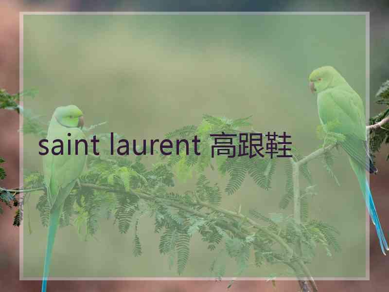 saint laurent 高跟鞋