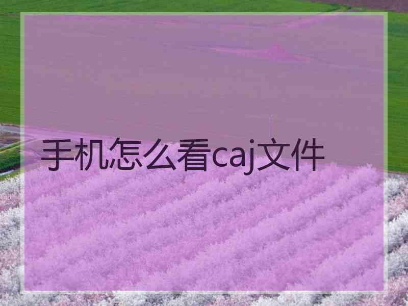 手机怎么看caj文件