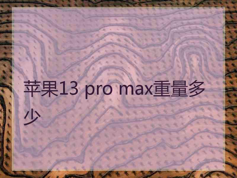 苹果13 pro max重量多少