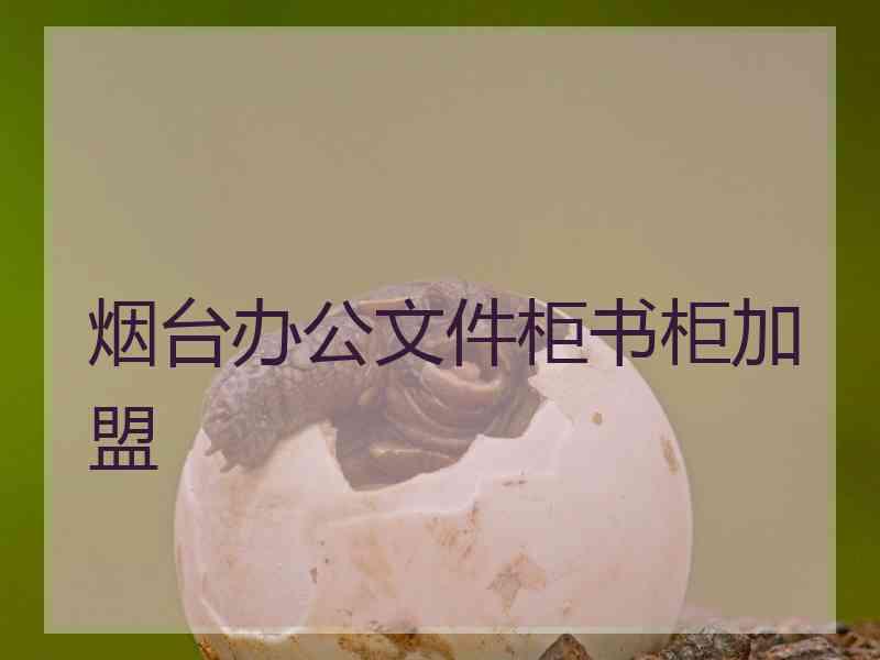 烟台办公文件柜书柜加盟