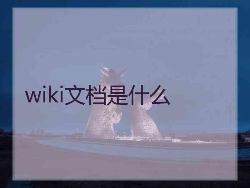 wiki文档是什么