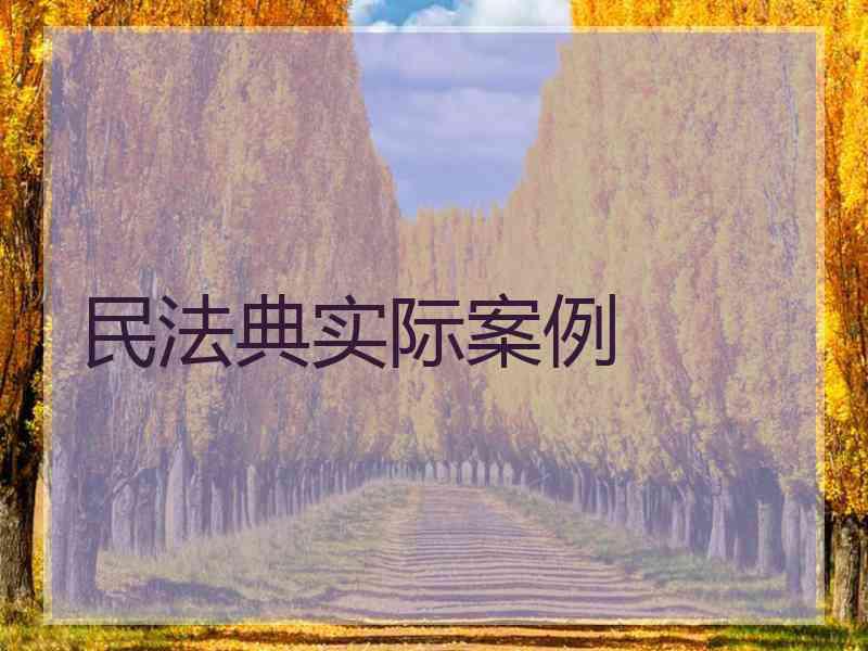 民法典实际案例