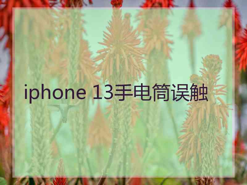 iphone 13手电筒误触