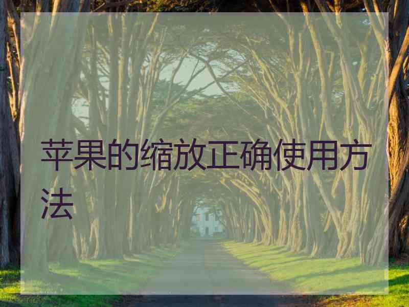 苹果的缩放正确使用方法