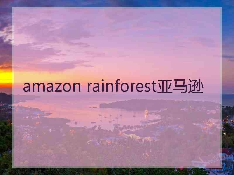 amazon rainforest亚马逊