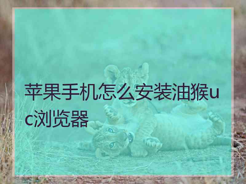 苹果手机怎么安装油猴uc浏览器