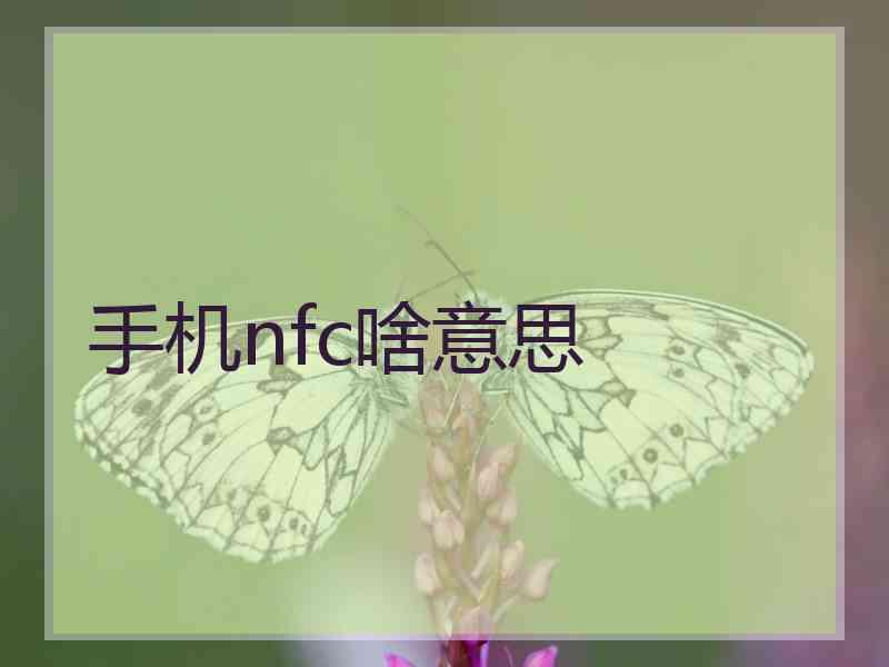 手机nfc啥意思