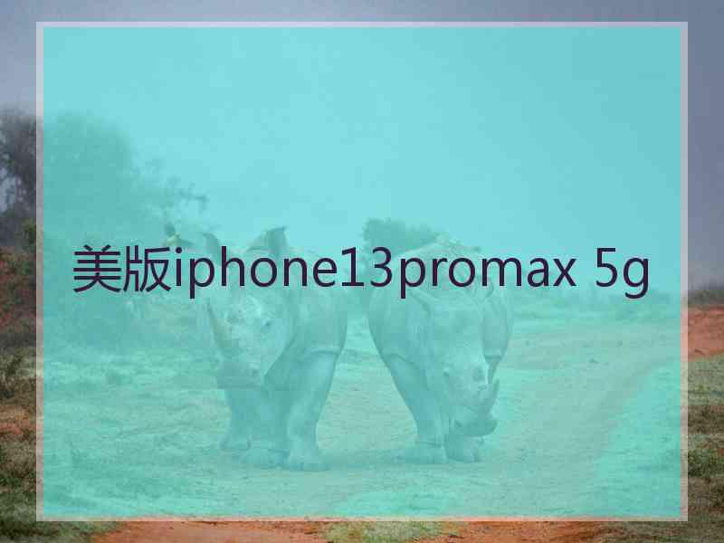 美版iphone13promax 5g