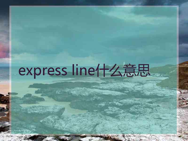 express line什么意思