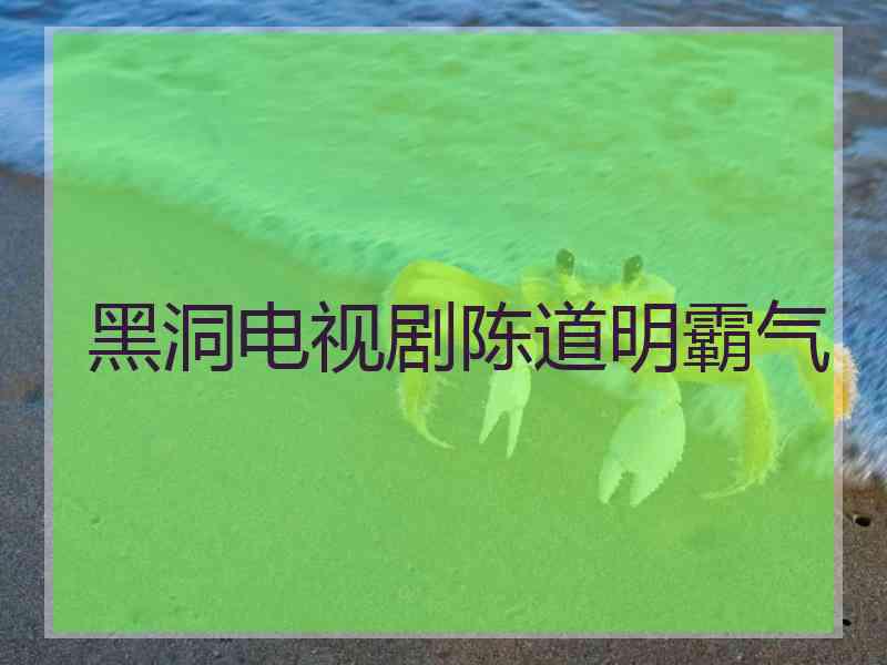 黑洞电视剧陈道明霸气