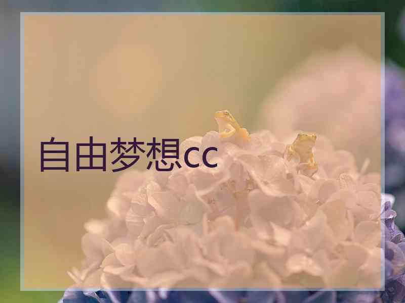 自由梦想cc