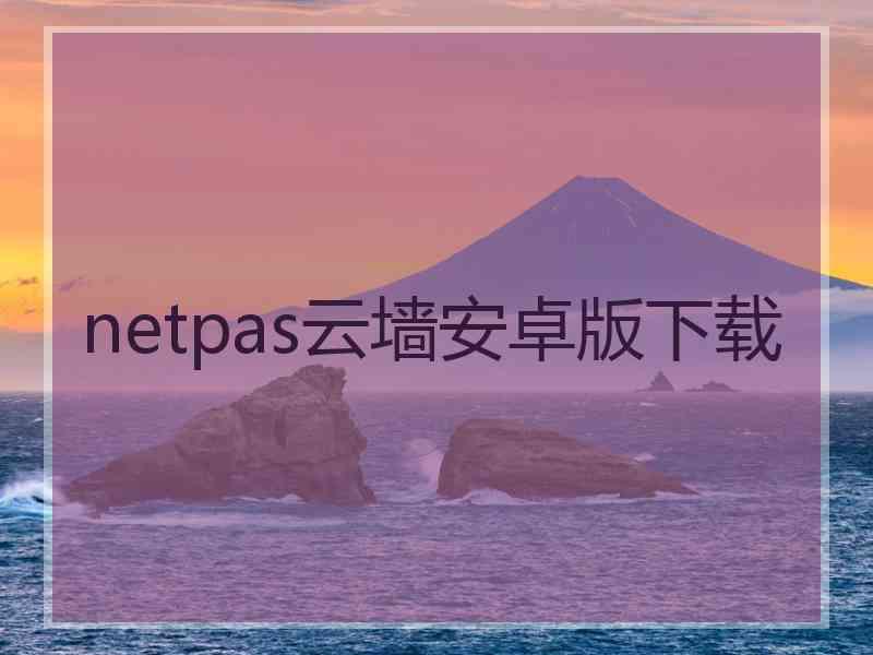 netpas云墙安卓版下载