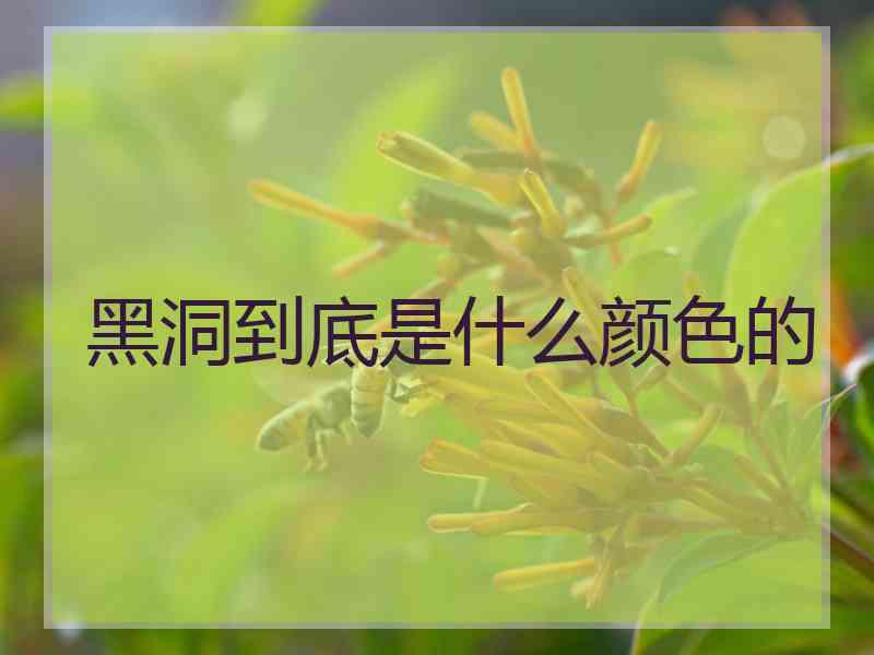 黑洞到底是什么颜色的